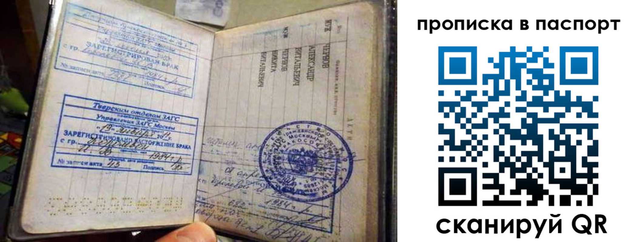 прописка поиск в Долгопрудном